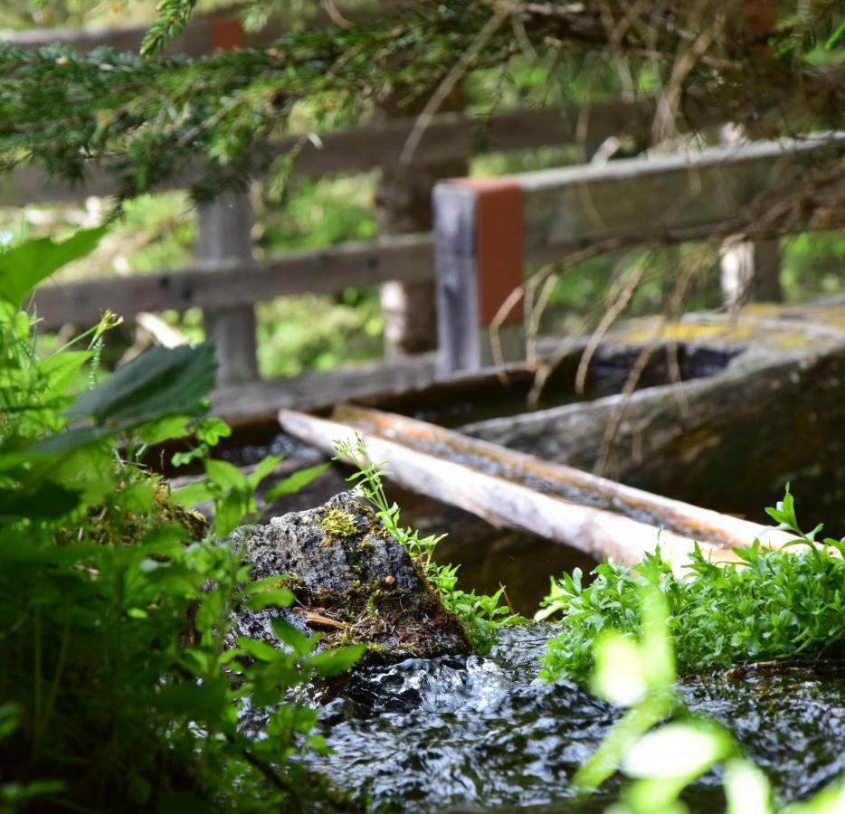 Badl Im Muehlbacher Talile ガイス エクステリア 写真